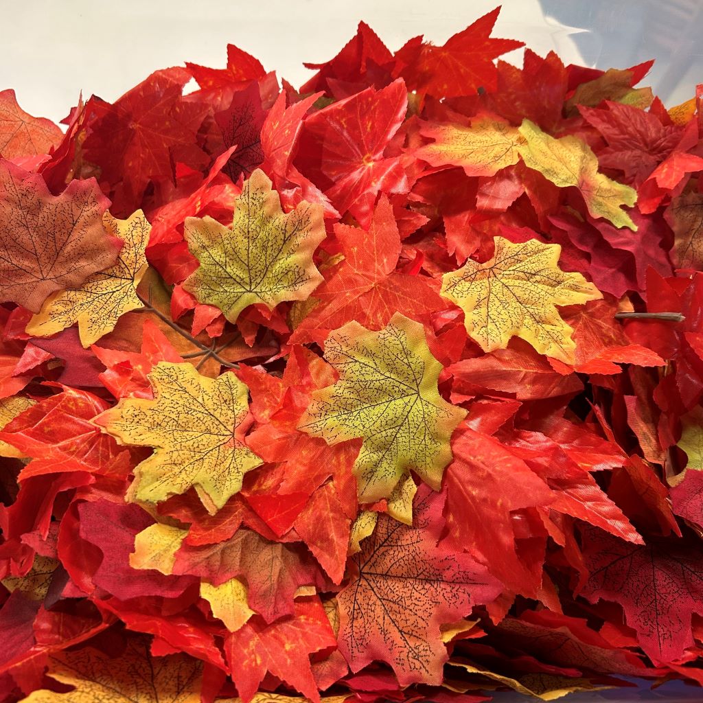 FOLIAGE, Autumn Leaves - BOX LOT